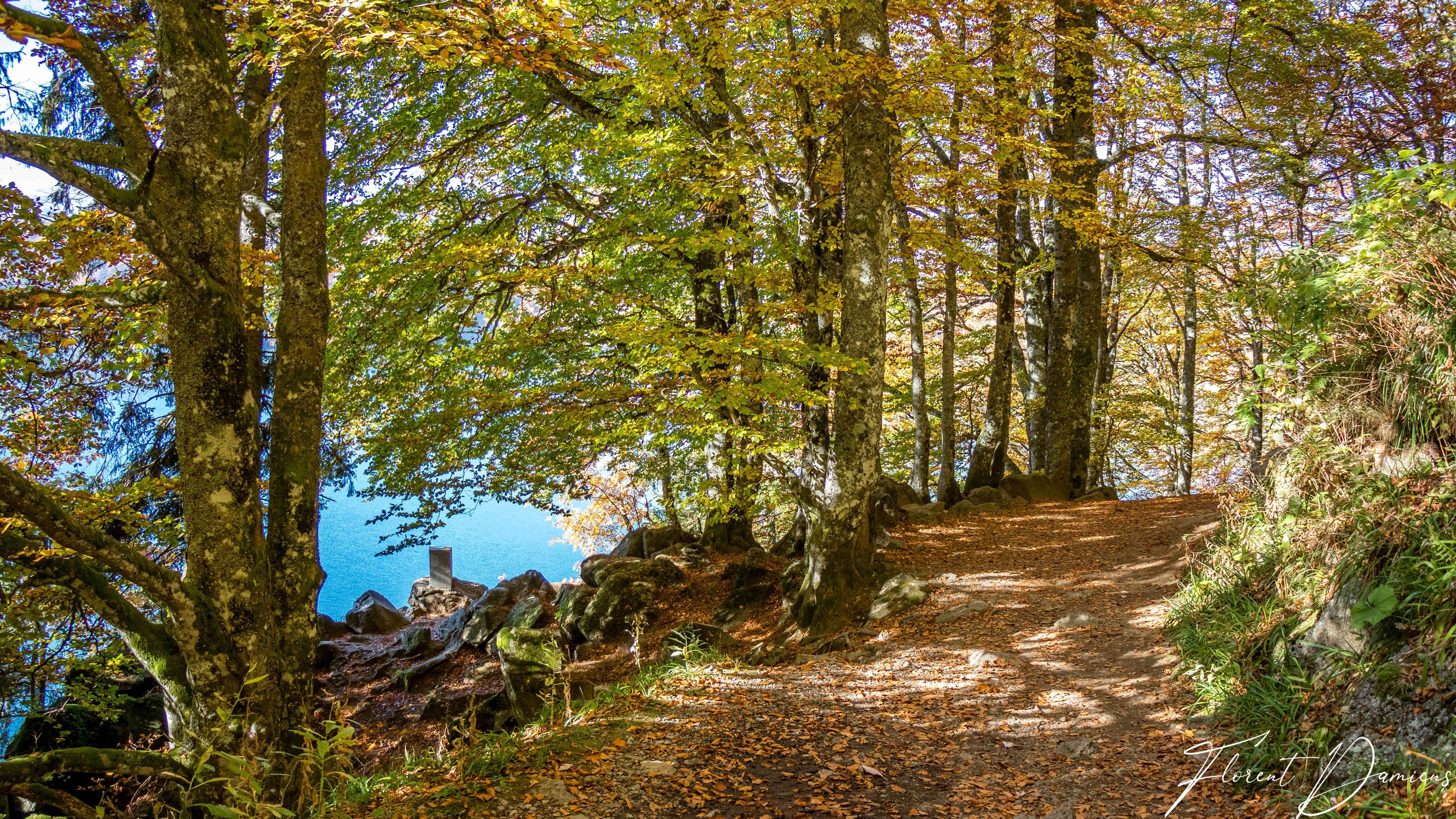 Lac Pavin