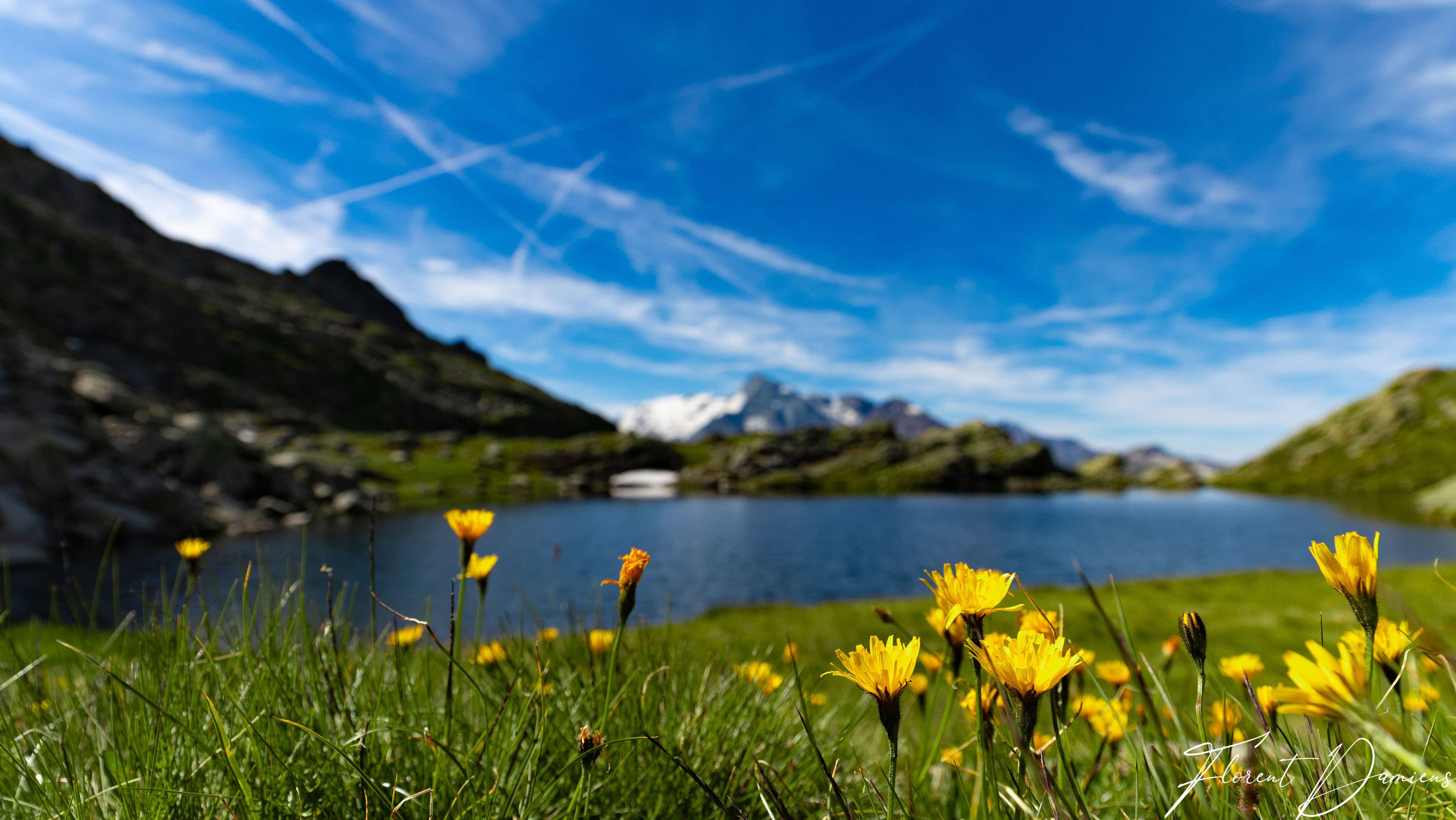 La Rosière