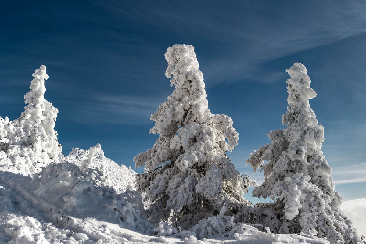 Puy de dôme hiver #5