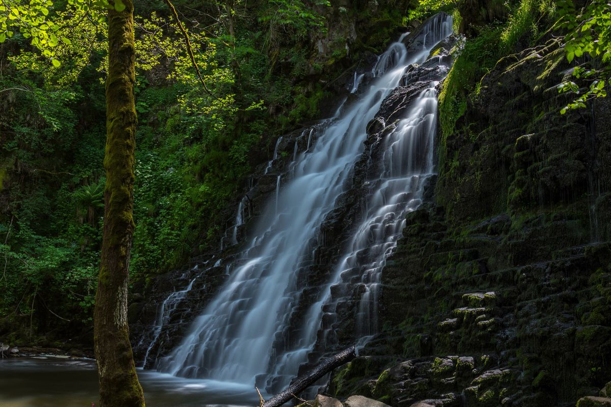 Cantal #1